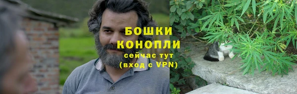 ГАЛЛЮЦИНОГЕННЫЕ ГРИБЫ Белокуриха