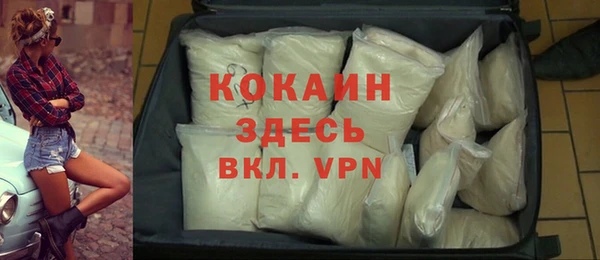 ГАЛЛЮЦИНОГЕННЫЕ ГРИБЫ Белокуриха
