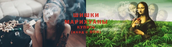 ГАЛЛЮЦИНОГЕННЫЕ ГРИБЫ Белокуриха