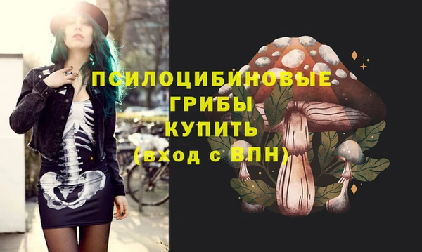 хмурый Новокубанск