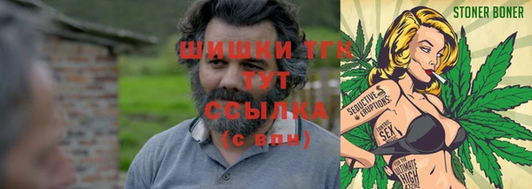 ГАЛЛЮЦИНОГЕННЫЕ ГРИБЫ Белокуриха