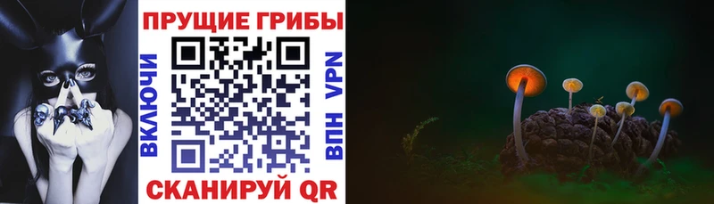 Купить где  Алексеевка  Псилоцибиновые грибы Magic Shrooms 